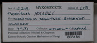 Image Associated With the Occurence